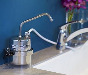 シーガルフォーの写真