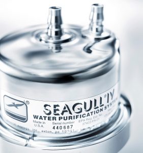 シーガルフォーの写真