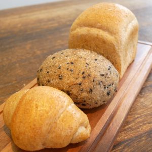 プレーンシリーズの写真